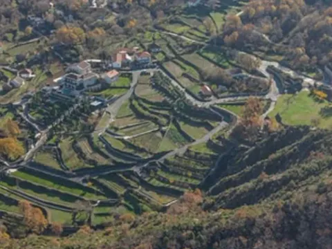 Prodaja, plac, 4000m², Bukovik, Bar - image 4