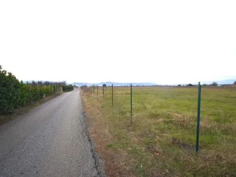 Prodaja, plac, 500m², Zeta, Podgorica - image 5