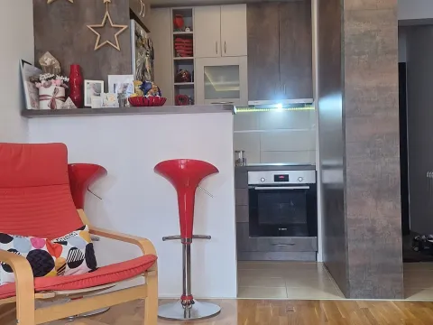 Izdavanje, jednosoban stan, 45m², Zvezdara Sve Podlokacije, Beograd - image 2