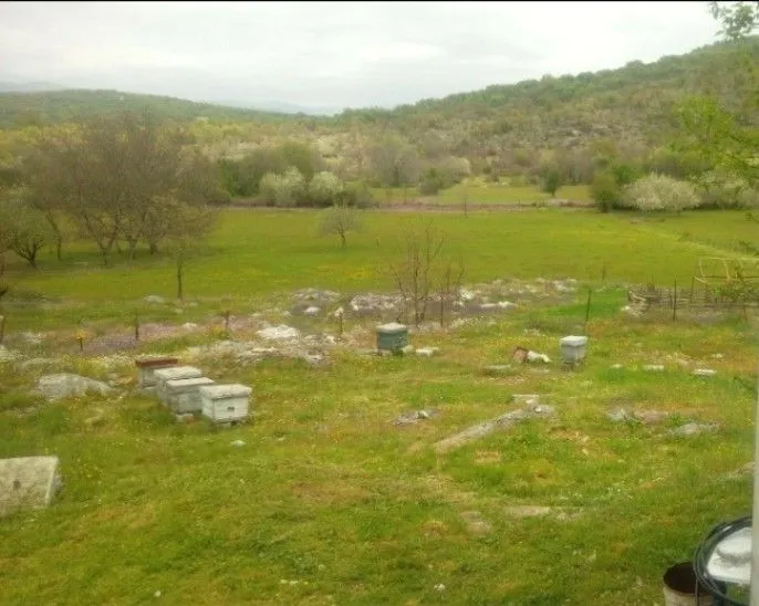 Prodaja, plac, 54000m², Bandići, Danilovgrad
