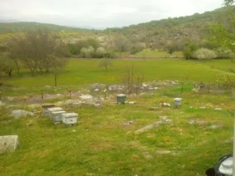 Prodaja, plac, 54000m², Bandići, Danilovgrad - image 4