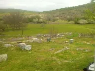 Sale, land lot, 54000m², Bandići, Danilovgrad - image 4