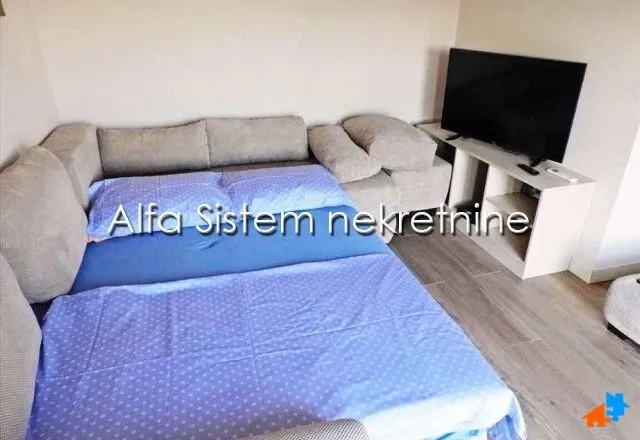 Izdavanje, dvosoban stan, 50m², Vračar Centar, Vračar Sve Podlokacije