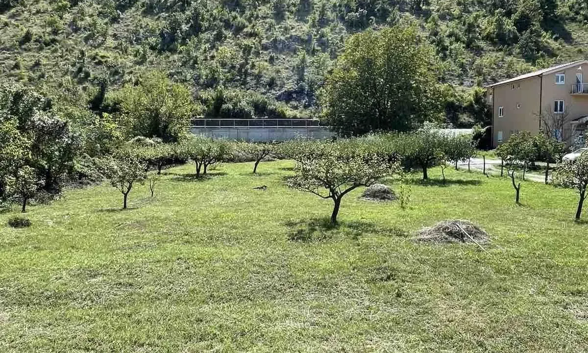 Sale, land lot, 1665m², Velje Brdo, Podgorica