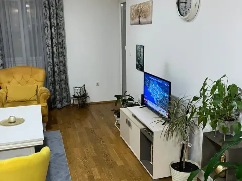 Izdavanje, jednosoban stan, 45m², Tuški Put, Podgorica - image 6