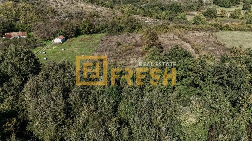 Prodaja, plac, 7450m², Danilovgrad, Crna Gora