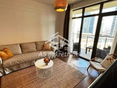 Izdavanje, dvosoban stan, 58m², Savski Venac, Beograd - image 5