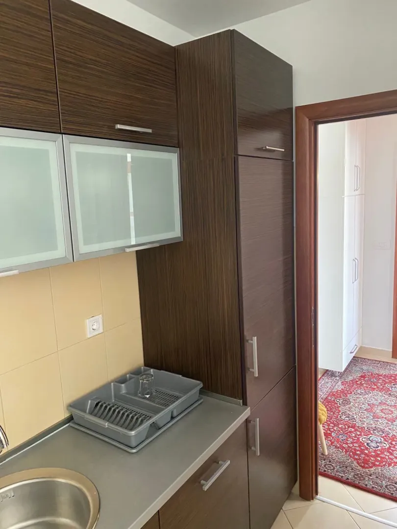 Izdavanje, jednosoban stan, 52m², Preko Morače, Podgorica