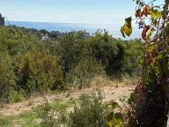 Prodaja, stan, 27m², Budva, Crna Gora - image 8