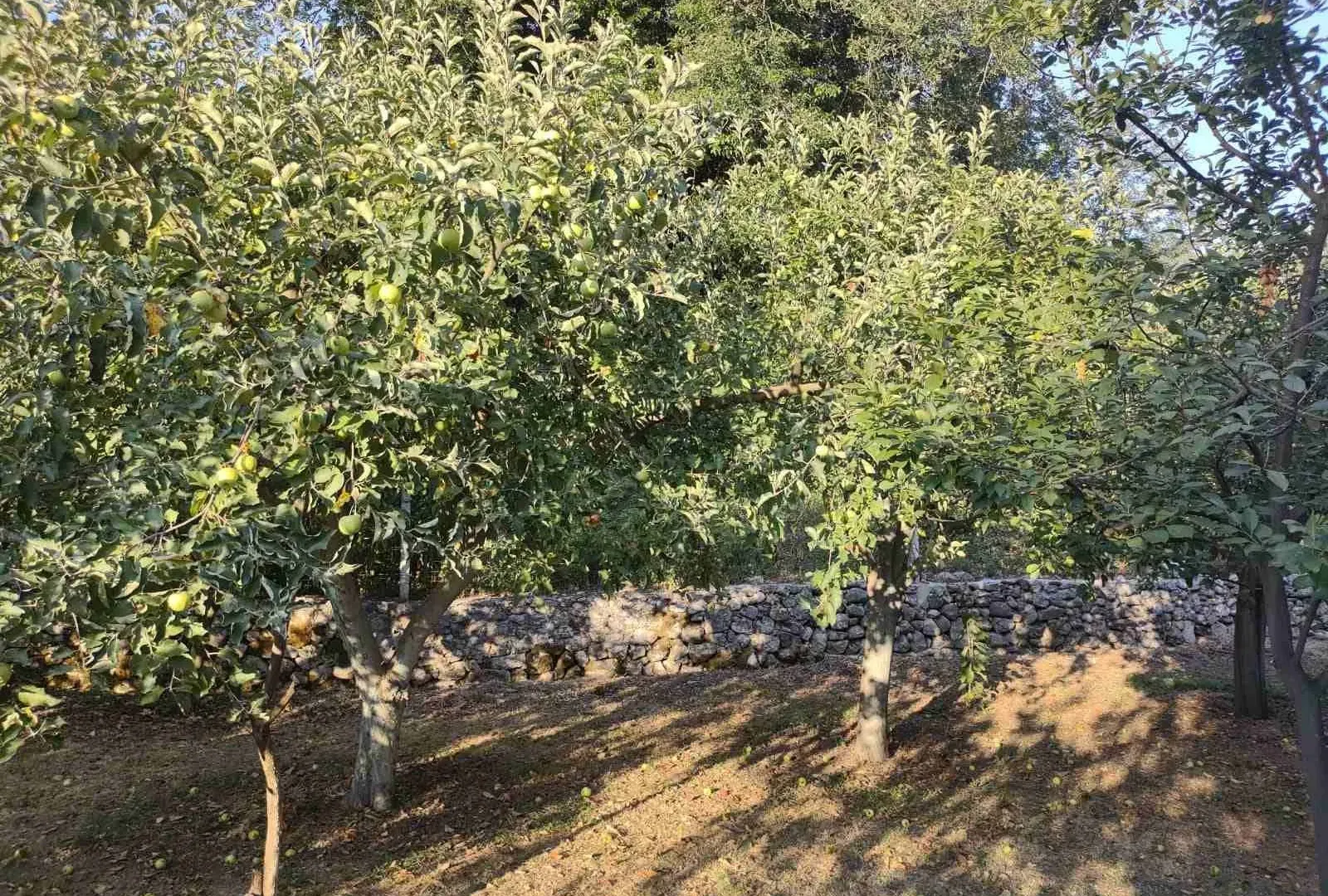 Prodaja, kuća, 180m², Zelenika, Herceg Novi