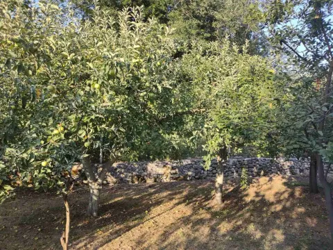 Prodaja, kuća, 180m², Zelenika, Herceg Novi - image 23