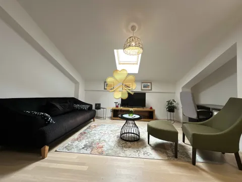 Izdavanje, jednosoban stan, 45m², Stari Aerodrom, Podgorica - image 4