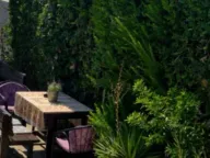 Izdavanje, kuća, 50m², Tivat, Crna Gora - image 9