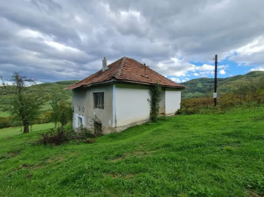 Prodaja, plac, 64450m², Rasadnik, Bijelo Polje