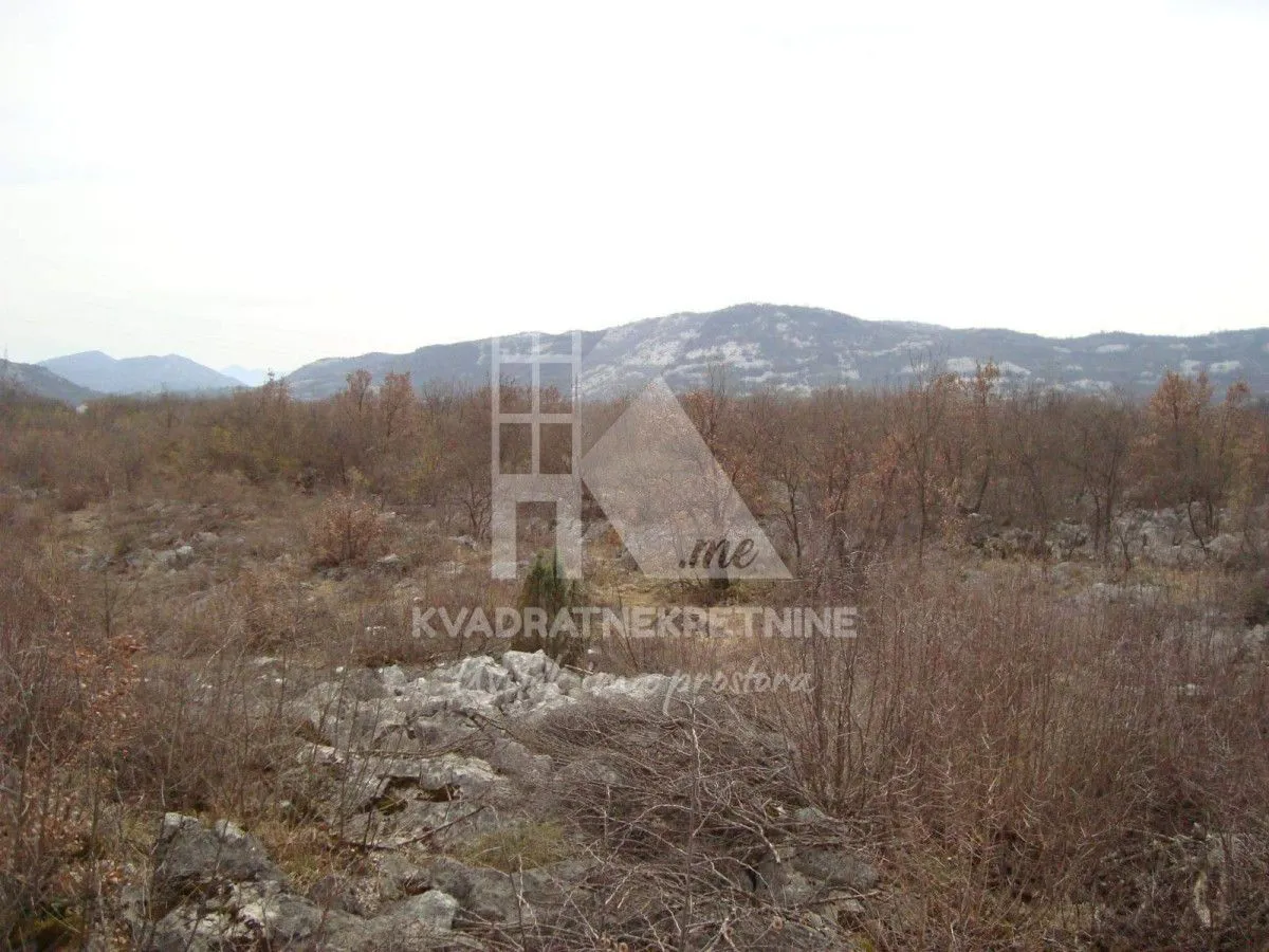 Prodaja, plac, 35000m², Barutana, Podgorica