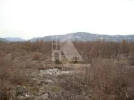 Prodaja, plac, 35000m², Gornji Kokoti, Podgorica - image 7