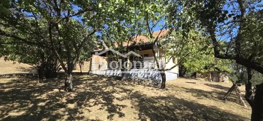 Pogled na kuću sa dvorištem okruženom drvećem.