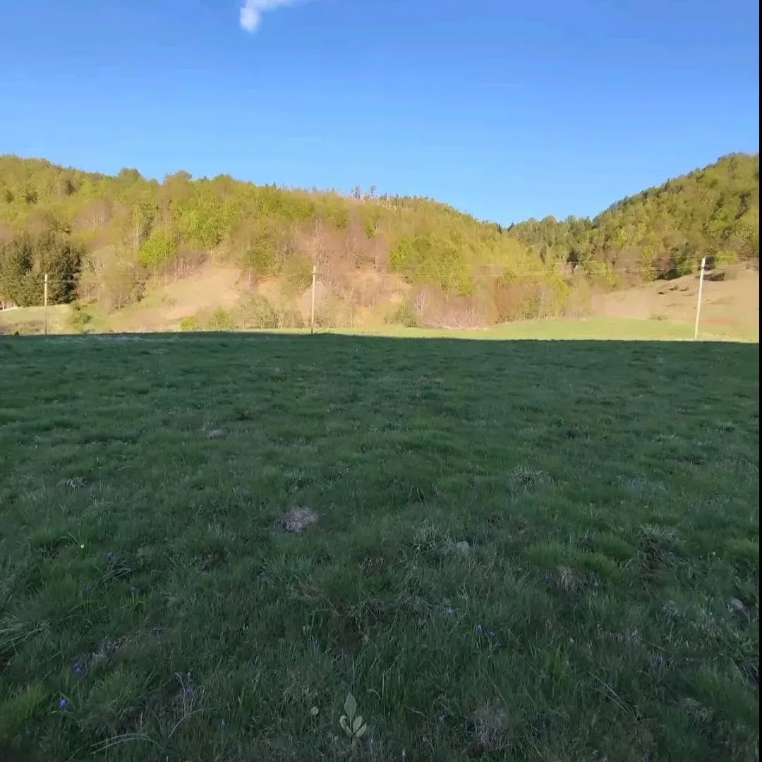 Prodaja, plac, 7000m², Veruša, Podgorica