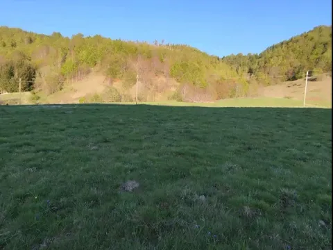Prodaja, plac, 7000m², Veruša, Podgorica - image 7