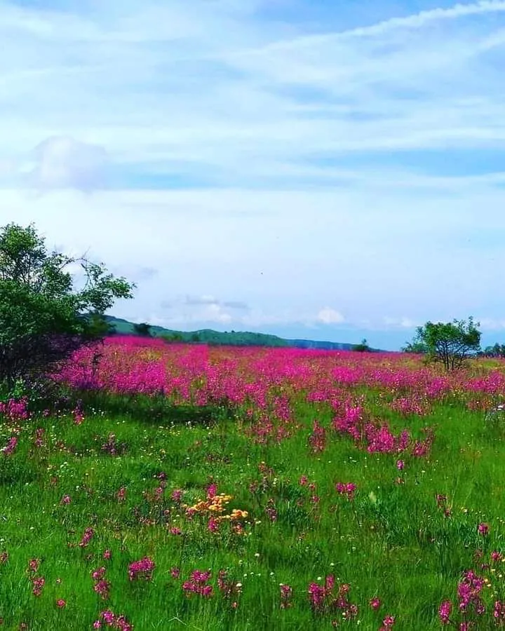 Prodaja, plac, 400000m², Podgorica, Crna Gora