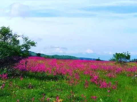 Prodaja, plac, 400000m², Podgorica, Crna Gora - image 5
