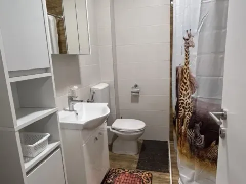 Izdavanje, dvosoban stan, 56m², Grbavica, Novi Sad Sve Podlokacije - image 13