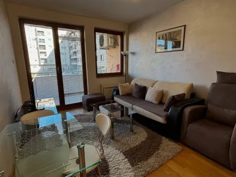 Izdavanje, jednosoban stan, 43m², Preko Morače, Podgorica - image 3