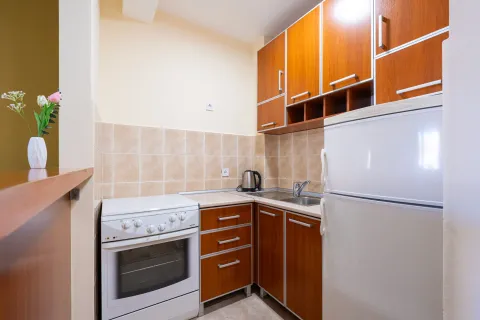 Small kitchen with wooden cabinets, stove, and refrigerator. - image 4