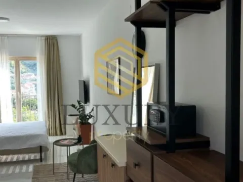 Izdavanje, garsonjera, 27m², Pržno, Budva - image 2