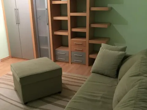 Izdavanje, jednosoban stan, 45m², Centar, Novi Sad - image 2