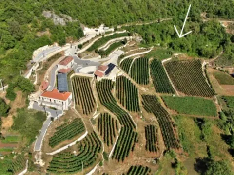 Sale, land lot, 4400m², Dobrsko Selo, Cetinje