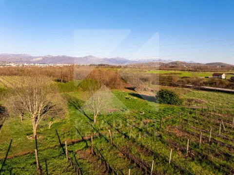 Sale, land lot, 13000m², Beri, Podgorica - image 8