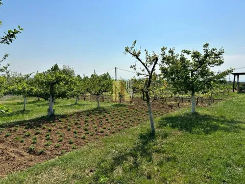 Sale, house, 75m², Banja Vrdnik, Irig - image 6