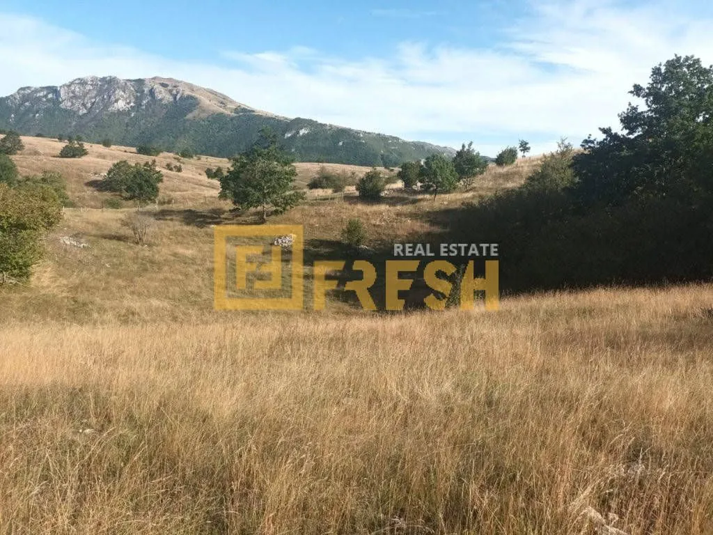 Prodaja, plac, 9000m², Plužine, Crna Gora