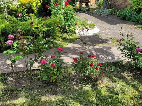 Prodaja, kuća, 210m², Bečej, Novi Sad - image 12