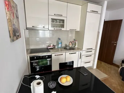 Izdavanje, jednosoban stan, 45m², Budva, Crna Gora - image 3