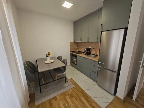 Rent, one bedroom apartment, 47m², Zagorič, Podgorica - image 2