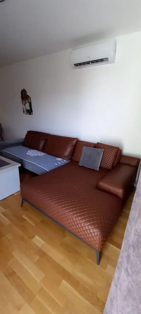 Living room with a leather sofa and air conditioning.