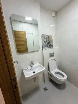 Modern bathroom with a sink, mirror and toilet. - image 6