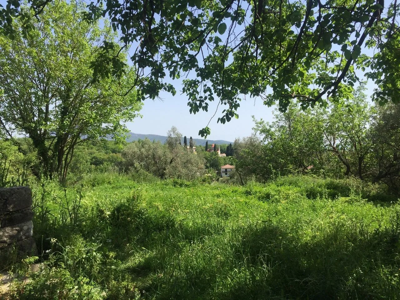 Prodaja, plac, 6880m², Podi, Herceg Novi