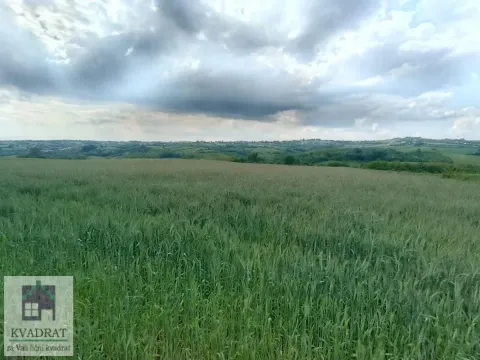 Prodaja, plac, 15000m², Jasenak, Obrenovac - image 3