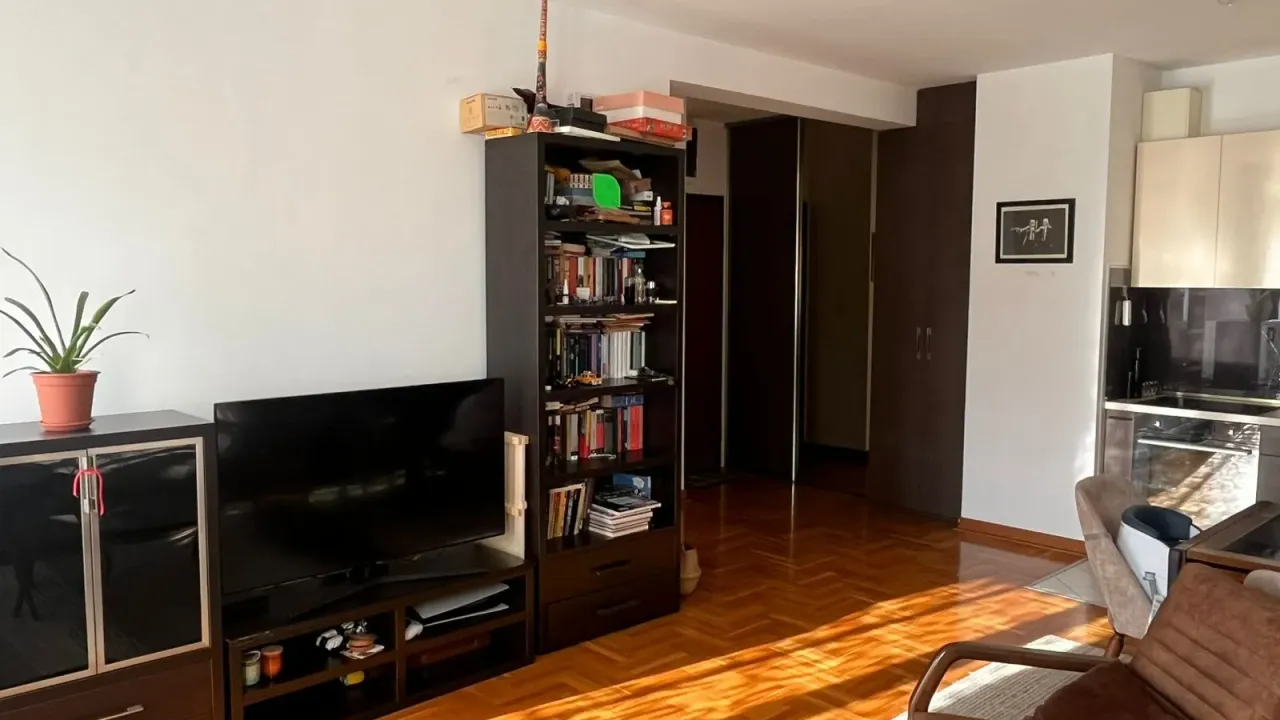 Sale, one bedroom apartment, 54m², Vezirov Most, Podgorica