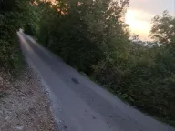 Prodaja, plac, 2171m², Kavač, Kotor - image 11