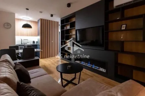 Izdavanje, dvosoban stan, 55m², Južni Bulevar, Vračar Sve Podlokacije - image 4