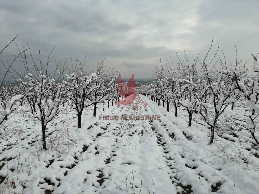 Prodaja, plac, 13700m², Koraćica, Mladenovac