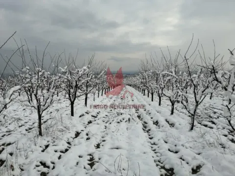 Prodaja, plac, 13700m², Koraćica, Mladenovac - image 7