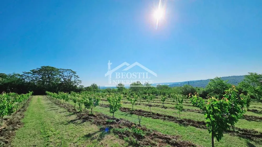 Sale, land lot, 7600m², Grocka, Beograd