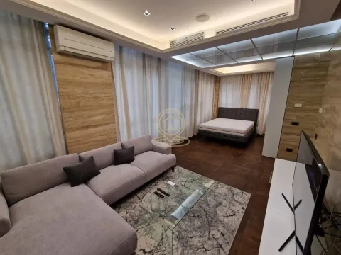 Izdavanje, dvosoban stan, 50m², Savski Venac, Beograd - image 8