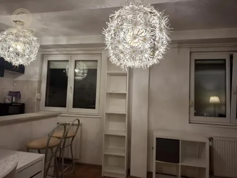 Izdavanje, jednosoban stan, 46m², Nova Detelinara, Novi Sad Sve Podlokacije - image 6