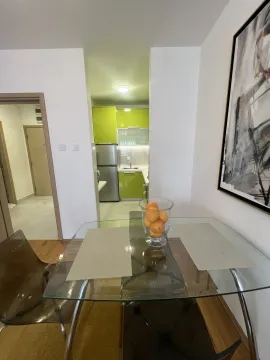 Rent, two bedroom apartment, 42m², Preko Morače, Podgorica - image 10